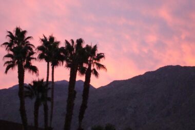Palm trees against stunning sunset and the Jacinta Mountains in Palm Springs, CA